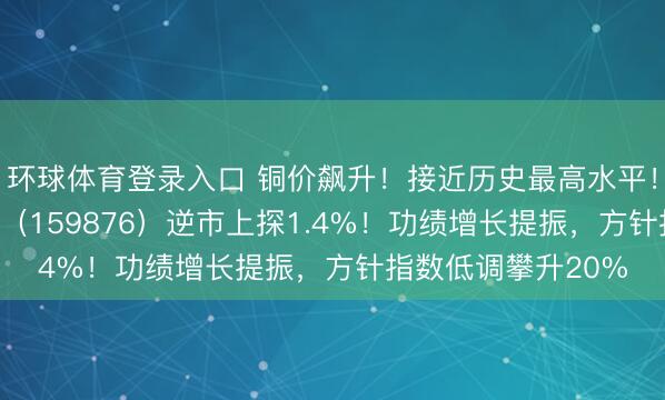 环球体育登录入口 铜价飙升！接近历史最高水平！华宝基金有色ETF（159876）逆市上探1.4%！功绩增长提振，方针指数低调攀升20%