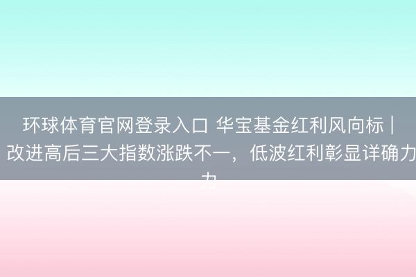 环球体育官网登录入口 华宝基金红利风向标 | 改进高后三大指数涨跌不一，低波红利彰显详确力