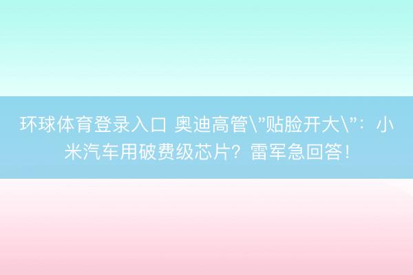 环球体育登录入口 奥迪高管