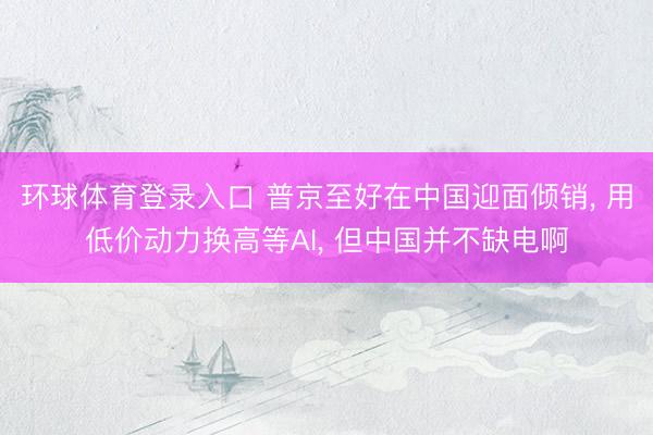 环球体育登录入口 普京至好在中国迎面倾销, 用低价动力换高等AI, 但中国并不缺电啊
