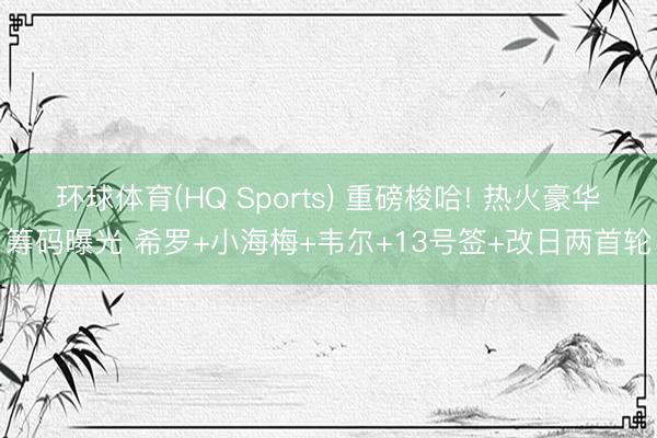环球体育(HQ Sports) 重磅梭哈! 热火豪华筹码曝光 希罗+小海梅+韦尔+13号签+改日两首轮
