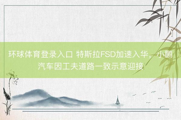 环球体育登录入口 特斯拉FSD加速入华，小鹏汽车因工夫道路一致示意迎接