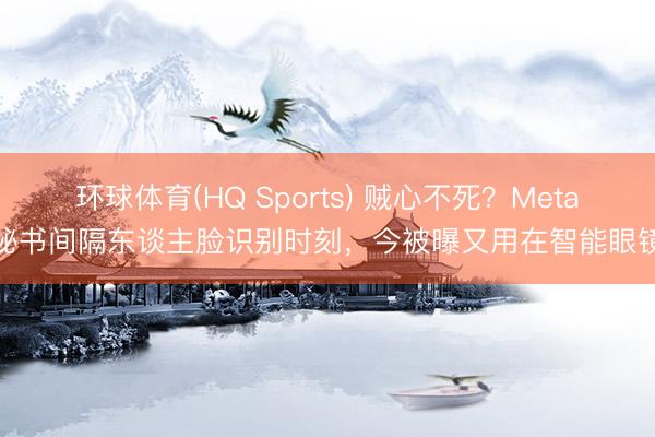 环球体育(HQ Sports) 贼心不死？Meta曾秘书间隔东谈主脸识别时刻，今被曝又用在智能眼镜上