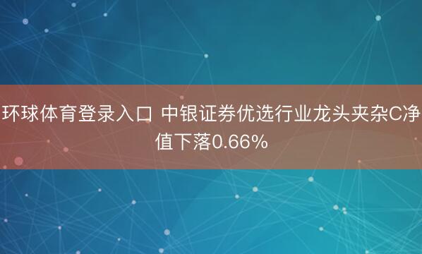 环球体育登录入口 中银证券优选行业龙头夹杂C净值下落0.66%