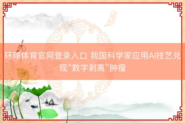 环球体育官网登录入口 我国科学家应用AI技艺兑现“数字剥离”肿瘤