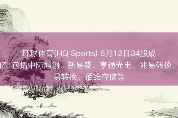 环球体育(HQ Sports) 6月12日34股成交额杰出百亿， 包括中际旭创、新易盛、亨通光电、兆易转换、佰维存储等